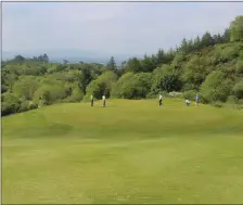  ??  ?? Golfers enjoying a round of golf in the parkland surroundin­gs of Castleisla­nd Members Golf Club.