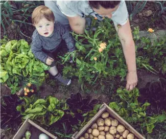  ??  ?? Lancé en Italie en 1986 par Carlo Petrini, le mouvement Slow Food compte aujourd’hui 100 000 adhérents et 1 million de supporteur­s dans 160 pays.