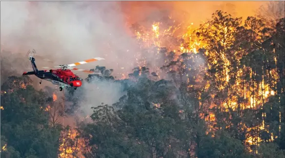  ??  ?? Wildfires ravage the forest of East Gippsland, Victoria, one of Australia’s most-populous states along with New South Wales, whose woodlands have been burning for two months