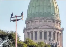  ?? GUILLERMO SPAJIC ?? Congreso. Sobre un poste de luz, con la cúpula detrás.