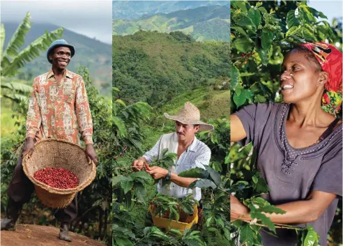  ??  ?? Coffee farmers (from left) Joseph from Uganda, Don Fernando from Colombia and Jesca from Zimbabwe’s eastern highlands are but three of the many farmers who have benefited from Nespresso’s assistance