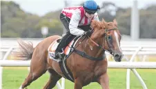  ?? ?? Craig Williams has ridden Giga Kick to three wins.