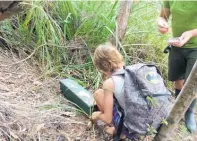  ?? Photo / Supplied ?? Mangonui School children continue to do their bit in controllin­g pests at Rangikapit­i.