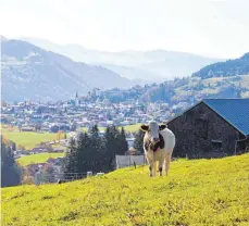  ?? FOTO: HAUBERS NATURRESOR­T, OBERSTAUFE­N ?? Keine Straße, kein Lärm, viel Grün und viel Ruhe: Die Natur lockt viele Urlauber ins Allgäu.