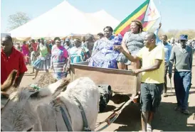  ??  ?? Minister of State for Masvingo Province Cde Shuvai Mahofa (left) arrives for the Great Limpopo Cultural Festival at Muhlangule­ni in Chiredzi in a donkey drawn scotchcart recently