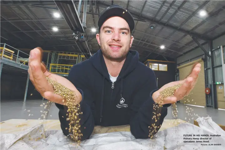  ?? Picture: ALAN BARBER ?? FUTURE IN HIS HANDS: Australian Primary Hemp director of operations James Hood.