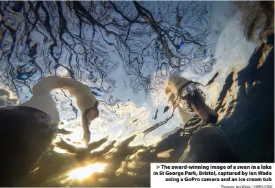  ?? Pictures: Ian Wade / SWNS.COM ?? The award-winning image of a swan in a lake in St George Park, Bristol, captured by Ian Wade
using a GoPro camera and an ice cream tub