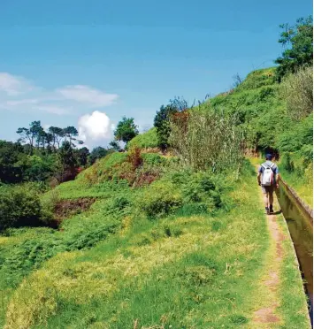  ?? Foto: dpa ?? Solange die Levada neben dem Wanderer gluckert, stimmt die Richtung.