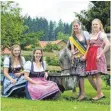  ?? FOTO: RINDERUNIO­N ?? Werben für das Braunvieh (von links): Regina Dilger, Selina Müller, Kuh Donau, die amtierende Braunviehk­önigin Beate Bühler und Helena Hille.