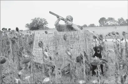  ??  ?? Dove season opens around the Mid-South on Sept. 1, but after a tough summer for planting, hunting could be difficult.
PHOTOS PROVIDED BY AVERY OUTDOORS