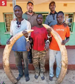  ??  ?? No escape: The handcuffed ivory poachers with their captors 5