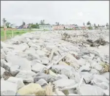  ?? (GINA photo) ?? The completed sea and river defence at Ruimzigt, West Coast Demerara