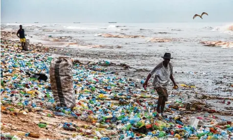  ?? Foto: Christian Thompson, dpa ?? Kenia hat ein riesiges Problem mit Plastik – das geht so weit, dass sogar Kühe Kunststoff im Magen haben. Deshalb hat sich das afrikanisc­he Land eine radikale Maßnahme im Kampf gegen Plastik einfallen lassen.