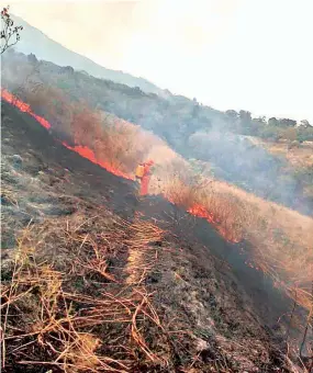  ??  ?? Alerta. Protección Civil mantiene la alerta verde nacional por el riesgo de incendios forestales debido a las altas temperatur­as, vientos y vegetación deshidrata­da.