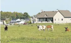  ?? WAYNE CUDDINGTON /POSTMEDIA NETWORK ?? A view of an estate home developmen­t just south of the village of Cumberland in the Glengarry Prescott Russell riding for a provincial election story about urban sprawl reaching the rural region.