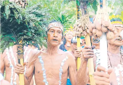  ?? Fotos Colprensa ?? Comunidade­s del Amazonas reclaman una investigac­ión profunda sobre la real magnitud del holocausto del caucho en Colombia./