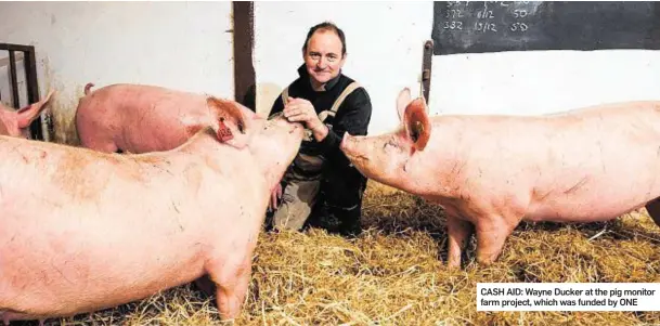 ??  ?? CASH AID: Wayne Ducker at the pig monitor farm project, which was funded by ONE