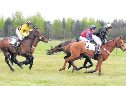  ?? Pictures: Mhairi Edwards. ?? Action from one of the races at the Balcormo point-to-point meeting.