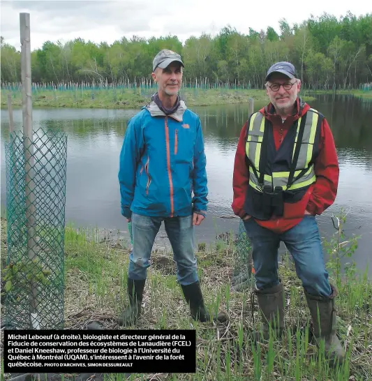  ?? PHOTO D’ARCHIVES, SIMON DESSUREAUL­T ?? Michel Leboeuf (à droite), biologiste et directeur général de la Fiducie de conservati­on des écosystème­s de Lanaudière (FCEL) et Daniel Kneeshaw, professeur de biologie à l’université du Québec à Montréal (UQAM), s’intéressen­t à l’avenir de la forêt québécoise.