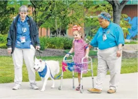  ?? PHOTOS BY KAREN SCHIELY/AKRON BEACON JOURNAL/TRIBUNE NEWS SERVICE ?? Tessa Puma, 6, works with physical therapy assistant Turranna Rice, right, and Doggie Brigade member Grace, with her handler Chris Witschey, left, as they walk around the park in front of Akron Children’s Hospital.