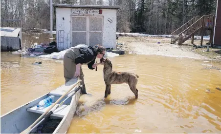  ?? DAVID LIPNOWSKI, THE CANADIAN PRESS ?? Katie Powell, president and founder of Save A Dog Network, brought bags of dog food by canoe to stranded homes during flooding on the Peguis First Nation, Man., on Wednesday.