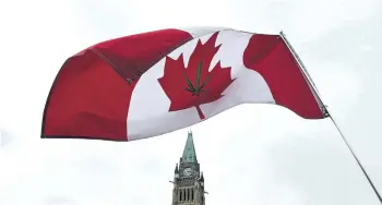  ?? SEAN KILPATRICK/THE CANADIAN PRESS ?? A Canadian flag with a marijuana leaf on it flies during a 4/20 rally on Parliament Hill in Ottawa on April 20. The federal government is hoping to find strength in numbers as it tries to stamp out the illicit marijuana market. Government officials are...