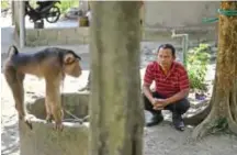  ??  ?? A Malaysian man watching a pig-tailed macaque outside trainer Wan Ibrahim Wan Mat’s house.