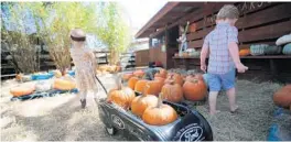  ?? RICARDO RAMIREZ BUXEDA/ORLANDO SENTINEL ?? Dakota Wright, 3, left, and Kaden Webb, 3 ½, play with pumpkins at the patch at the Club Lake Plantation Fall Festival in Apopka in 2017.