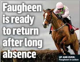  ??  ?? UP AND OVER: Faugheen in action