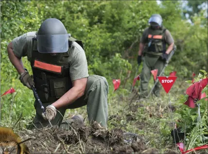  ??  ?? „ Scientists from St Andrews University have devised a way to train honey bees to sniff out landmines.