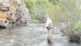  ?? Courtesy of Dave Justus ?? Frank Cada fishes the Poudre River in northern Colorado.