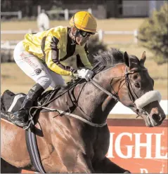  ??  ?? The Dean Kannemeyer-trained LAST WINTER still to impress the handicappe­rs. Picture: Liesl King