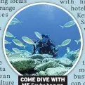  ??  ?? COME DIVE WITH ME Scuba heaven