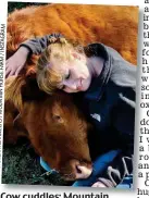  ??  ?? Cow cuddles: Mountain Horse Farm in New York