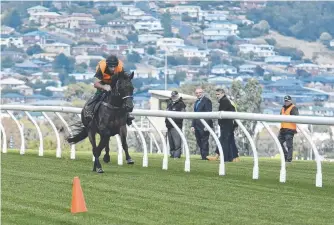  ??  ?? Our Declaratio­n, ridden by Stuart Gandy, gallops on the turf at Elwick racecourse while race officials look on. Picture: Peter Staples