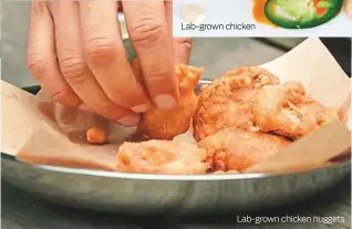  ??  ?? Lab-grown chicken Lab-grown chicken nuggets