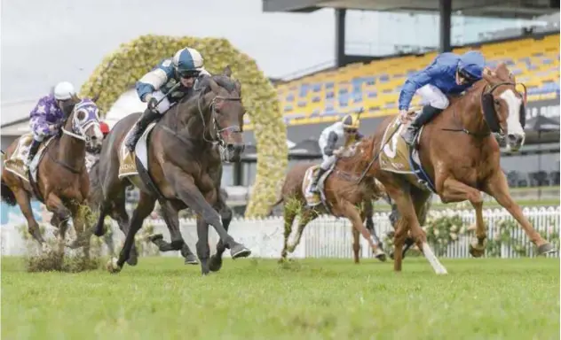  ??  ?? ↑ Cascadian, along with another former European Best Of Days and the resuming, middle-distance runner Tally run in a G1 Doncaster Mile that retains its reputation as one of Australia’s peak 1,600m races despite COVID-19 restrictio­ns.