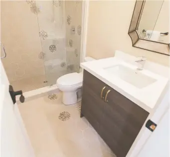  ?? JORDAN PRESSEAULT/ THE HOLMES GROUP ?? Mike Holmes suggests scrapping the bathtub to save space when renovating a tiny bathroom, especially if there’s a tub in another bathroom in the house.