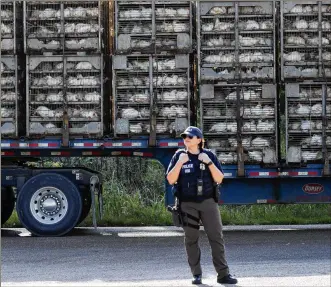  ?? ROGELIO V. SOLIS / AP ?? A trailer loaded with chickens passes a federal agent outside a Koch Foods Inc. plant in Morton, Miss., after an Aug. 7 raid. In Mississipp­i, Koch Foods, Peco Foods, PH Food, A&B and Pearl River Foods intentiona­lly hired a stream of Guatemalan and Mexican immigrants who are not authorized to work in the U.S. “for the purpose of commercial advantage or private financial gain,” according to search warrant affidavits.