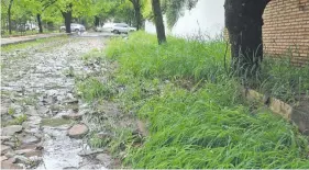  ?? ?? Las calles son un yuyal, en Pizarro y Miltos del barrio Santa Librada, donde también hay pérdida en la cañería de agua potable.