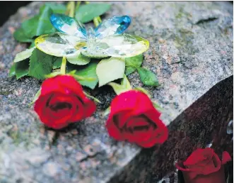  ?? GERRY KAHRMANN ?? Eileen Mohan recently placed roses and a crystal butterfly on the grave of her son, Christophe­r, an innocent bystander who was among six men gunned down in a Surrey apartment in October 2007. Mohan says it would be “a huge slap in my face” if the...