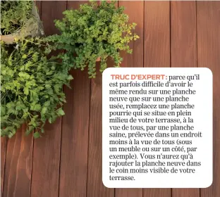  ??  ?? TRUC D’EXPERT: parce qu’il est parfois difficile d’avoir le même rendu sur une planche neuve que sur une planche usée, remplacez une planche pourrie qui se situe en plein milieu de votre terrasse, à la vue de tous, par une planche saine, prélevée dans un endroit moins à la vue de tous (sous un meuble ou sur un côté, par exemple). Vous n’aurez qu’à rajouter la planche neuve dans le coin moins visible de votre terrasse.