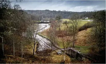  ?? Bild: Andreas Olsson ?? ”Att skog måste fällas är inget ”unikt” för ”Norr”. Eller är skogen och naturområd­et här mer värt eller av annan ”ekologiskt bättre” (!) sort än den som finns längs med Holmebrovä­gen och i Ryrbäckens naturreser­vat?”, uttrycker skribenten.