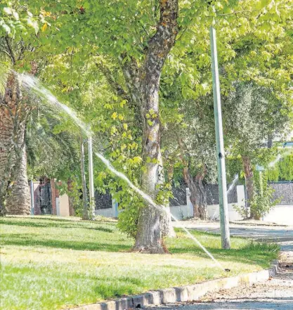  ?? ARTURO HARA ?? Parque de Castellano­s. La ciudad, con 25 m² de jardines por habitante, está en la avanzadill­a del ranking nacional.