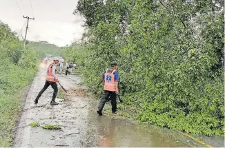  ?? FOTOS: BERNABÉ VALLEJO ?? Personal
de Protección Civil retiró árboles caídos.