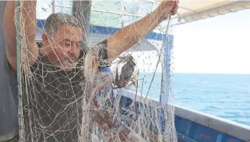  ??  ?? Tunisian fishermen (above and below) catching blue crab off the Tunisian coastal city of Zarzis.