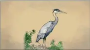  ?? (AP Illustrati­on/Peter Hamlin) ?? An illustrati­on of a heron.