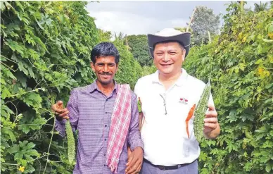  ??  ?? PROFITABLE PALEE AMPALAYA – Photo shows farmer Anamanraju of Nelamangal­a, Bangalore, India and Ric M. Reyes of East-West Seed Company holding fruits of Palee ampalaya in Mr. Anamanjaru’s farm. The Indian farmer says he loves the high yield and disease...