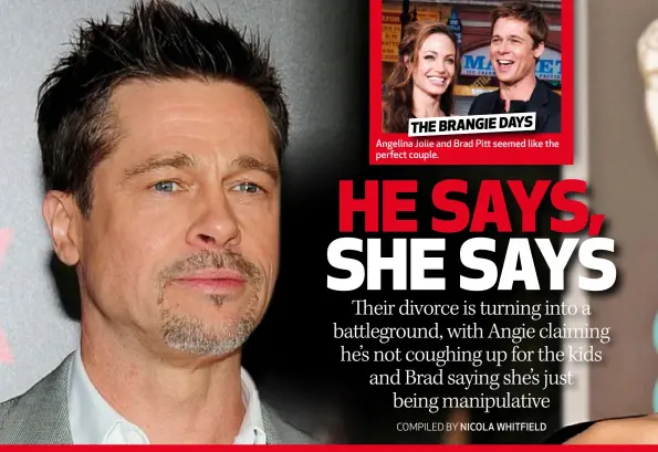  ??  ?? Angelina Jolie and Brad Pitt seemed like the perfect couple.