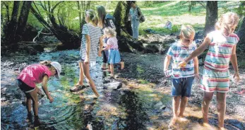  ?? FOTO: LYDIA SCHÄFER ?? Auf den Spuren der Wasserläuf­er: Die jungen Naturforsc­her machen bei der Kressbronn­er „Expedition mit dem Forscherru­cksack“mit.